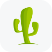 CactusVPN