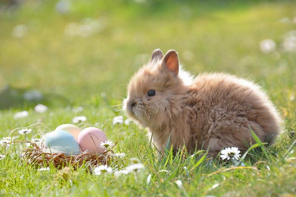 easter sale easter sale