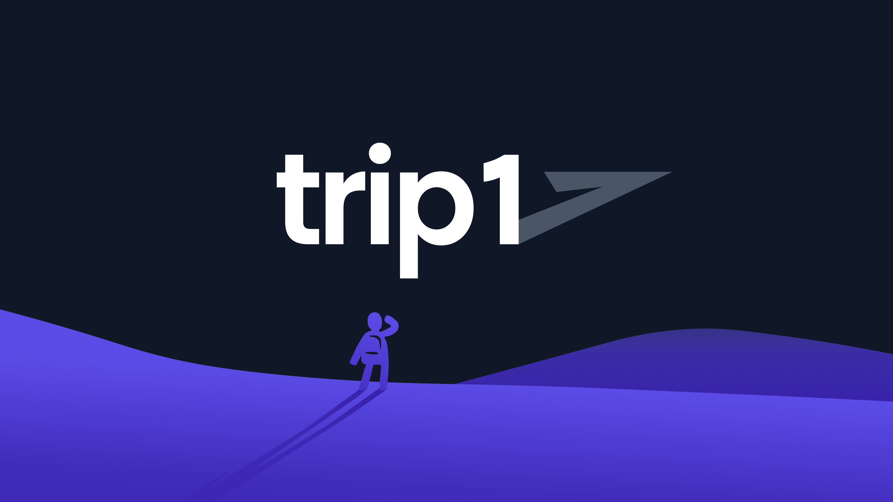 How Trip1 Builds AI-Driven Travel Booking (With Crypto Payments)